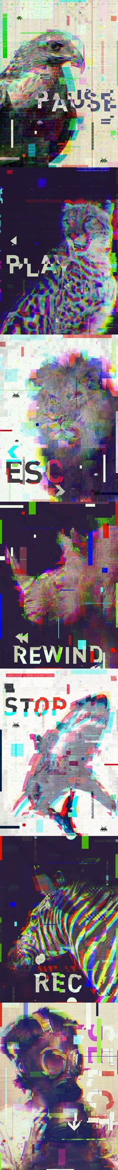 09b325b472052dbb171d2b1004764e41.jpg