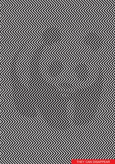 0dd2b6865e5ab2eefe436c85eac72c3b.jpg
