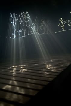 6d0bb389005db68b6480192c2b829c3a.jpg