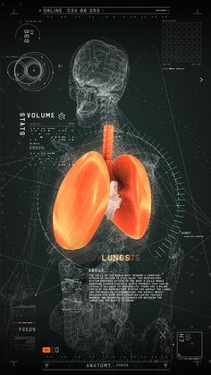 beccf5d1470306a055443e182417bbc9--medical-design-interface-design.jpg