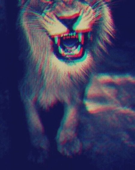 Trippy