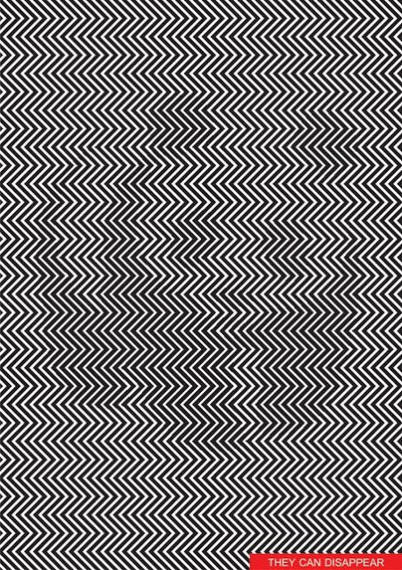they can disappear (GRAFIK DESIGNER SANGHYUK MOON)